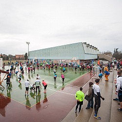15. Mali kraški maraton 2015