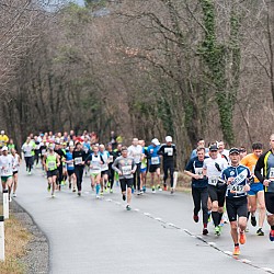 15. Mali kraški maraton 2015