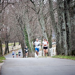15. Mali kraški maraton 2015