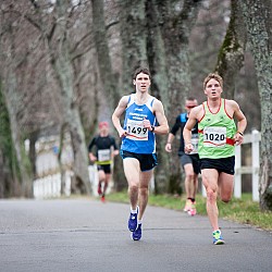 15. Mali kraški maraton 2015