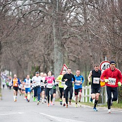 15. Mali kraški maraton 2015