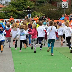 16. Mali kraški maraton 2016