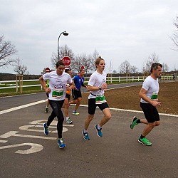 16. Mali kraški maraton 2016