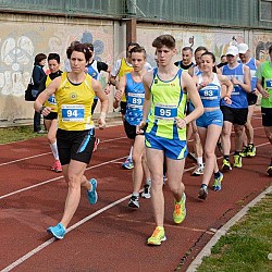 16. Mali kraški maraton 2016