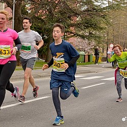 16. Mali kraški maraton 2016