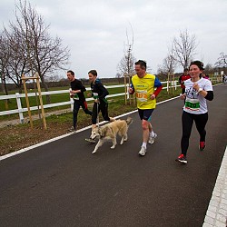 16. Mali kraški maraton 2016