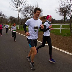 16. Mali kraški maraton 2016