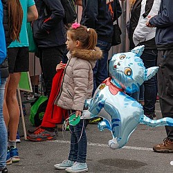 16. Mali kraški maraton 2016