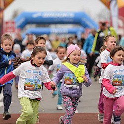 16. Mali kraški maraton 2016