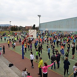 16. Mali kraški maraton 2016
