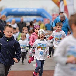 16. Mali kraški maraton 2016