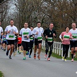 16. Mali kraški maraton 2016