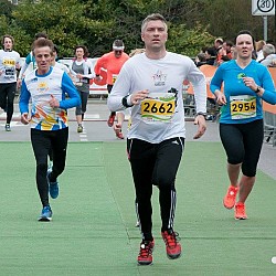 16. Mali kraški maraton 2016