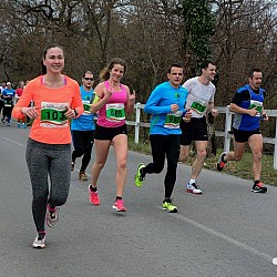 16. Mali kraški maraton 2016