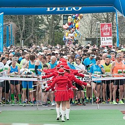 16. Mali kraški maraton 2016