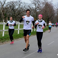 16. Mali kraški maraton 2016