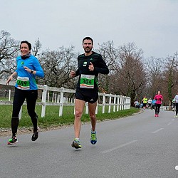 16. Mali kraški maraton 2016