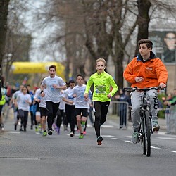 16. Mali kraški maraton 2016