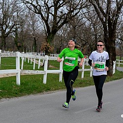 16. Mali kraški maraton 2016