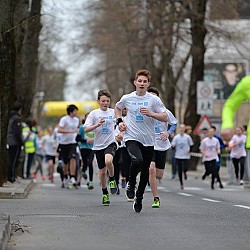 16. Mali kraški maraton 2016