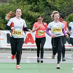 16. Mali kraški maraton 2016