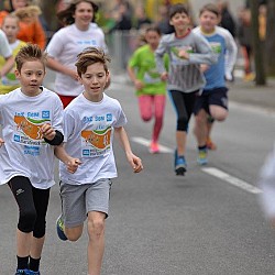 16. Mali kraški maraton 2016