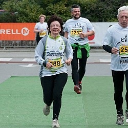 16. Mali kraški maraton 2016