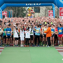 16. Mali kraški maraton 2016