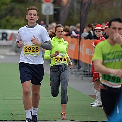 16. Mali kraški maraton 2016