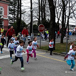 16. Mali kraški maraton 2016