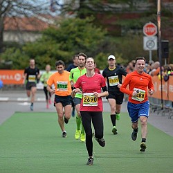 16. Mali kraški maraton 2016