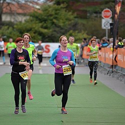 16. Mali kraški maraton 2016