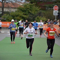 16. Mali kraški maraton 2016