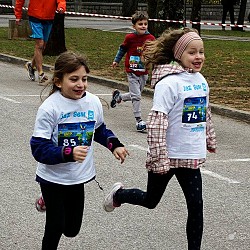 16. Mali kraški maraton 2016