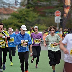 16. Mali kraški maraton 2016