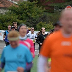 16. Mali kraški maraton 2016