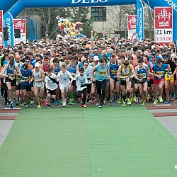 16. Mali kraški maraton 2016