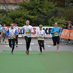 16. Mali kraški maraton 2016