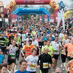 16. Mali kraški maraton 2016