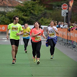 16. Mali kraški maraton 2016