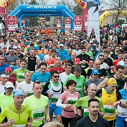 16. Mali kraški maraton 2016