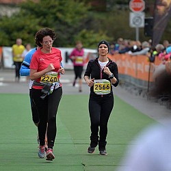 16. Mali kraški maraton 2016