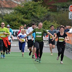 16. Mali kraški maraton 2016