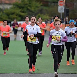 16. Mali kraški maraton 2016