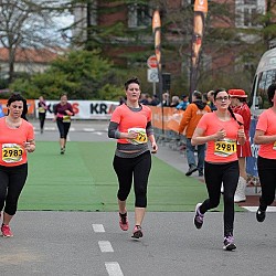 16. Mali kraški maraton 2016
