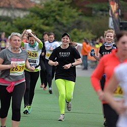 16. Mali kraški maraton 2016