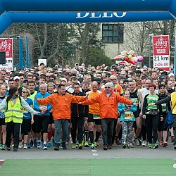 16. Mali kraški maraton 2016