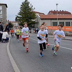 16. Mali kraški maraton 2016
