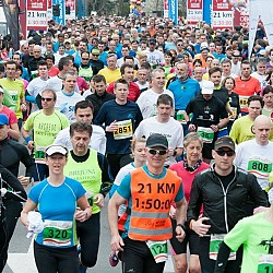 16. Mali kraški maraton 2016