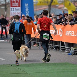 16. Mali kraški maraton 2016